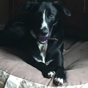 Meet your Posher, Joanne